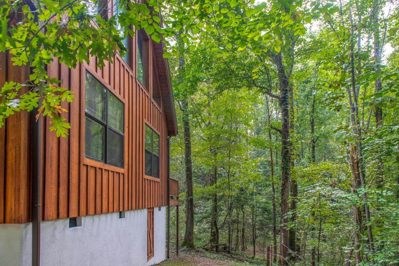 Friendly Bear Cabin Pigeon Forge Extérieur photo